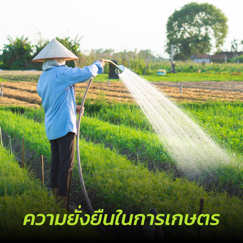 ปุ๋ยอินทรีย์ ความลับที่ทำให้พืชเจริญเติบโตอย่างสมบูรณ์​