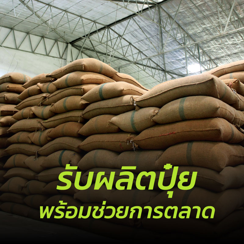 รับผลิตปุ๋ย พร้อมช่วยการตลาด